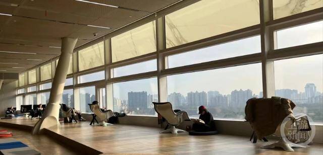 上海图书馆东馆七楼朝着世纪公园的躺椅平时颇为“抢手”。网络图