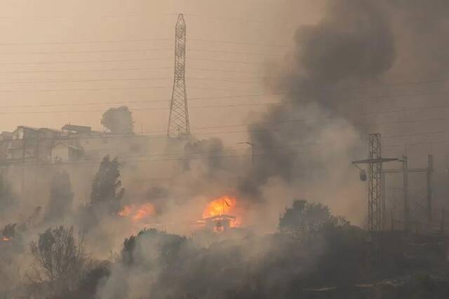 当地时间2月3日，智利瓦尔帕莱索大区，当地森林火灾肆虐。图/ICphoto