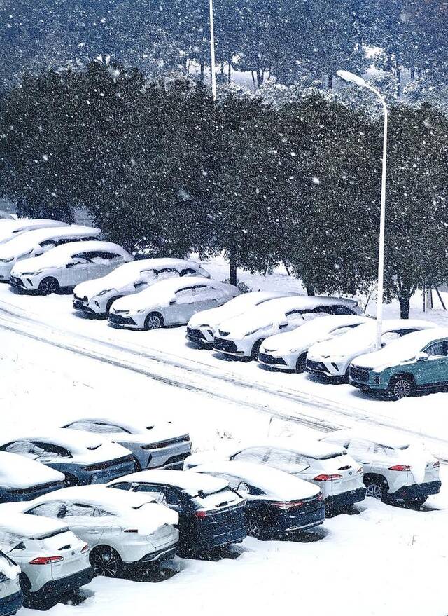 2024年2月4日，湖北襄阳迎暴雪天气，最大厚度达10毫米。视觉中国图