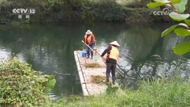 焦点访谈：牢记总书记嘱托 好山好水好经济