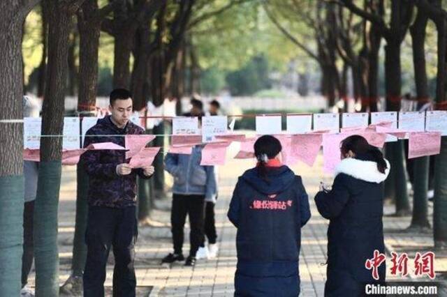 资料图：在合肥市大蜀山森林公园一处“相亲角”内悬挂的相亲简介吸引民众驻足。韩苏原摄