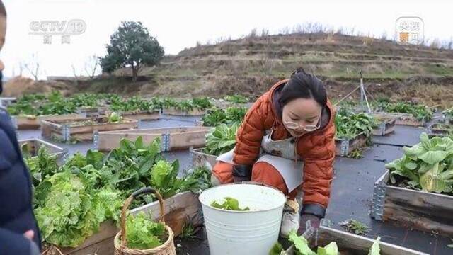 焦点访谈丨牢记总书记嘱托 人财两旺心气顺