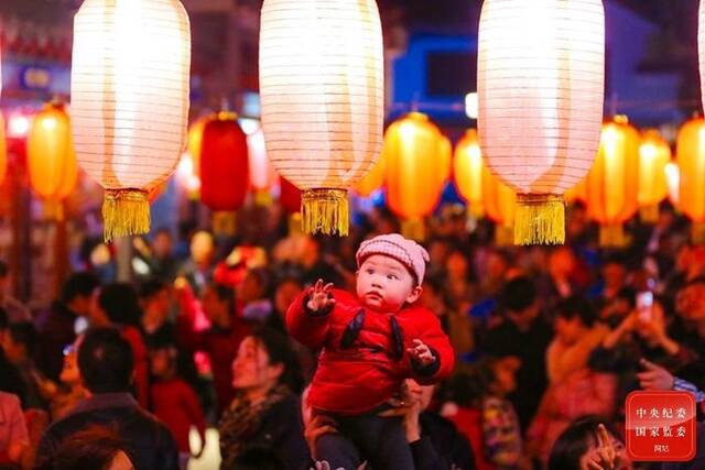 镜头丨逛灯会 赏花灯