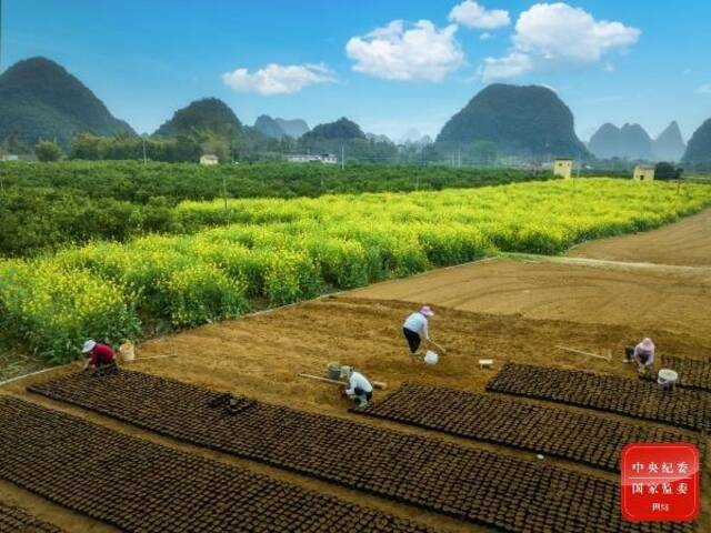 春风化雨 润物无声