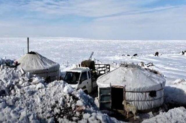 蒙古国遭受近50年不遇雪灾 入冬以来已损失至少66万头牲畜