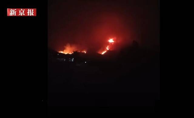 2月19日晚，龙吟镇吟塘村附近的山火。图源：新京报我们视频截图