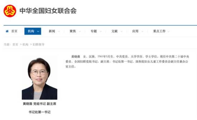 经党中央批准，正部级女将以这一身份率团出国