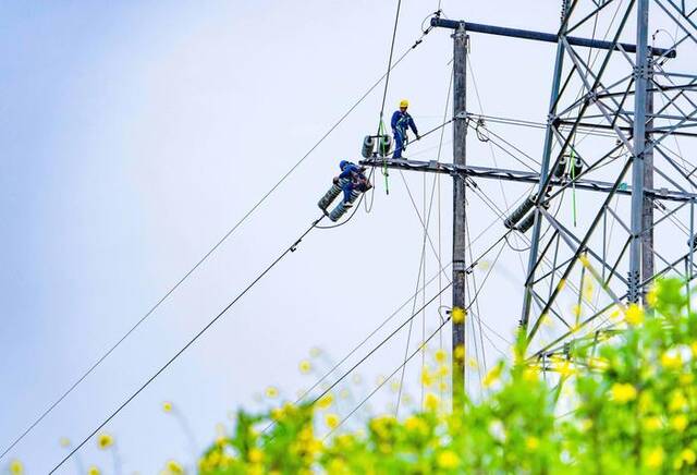 重庆长寿供电公司员工对110千伏线路开展绝缘子清扫工作。