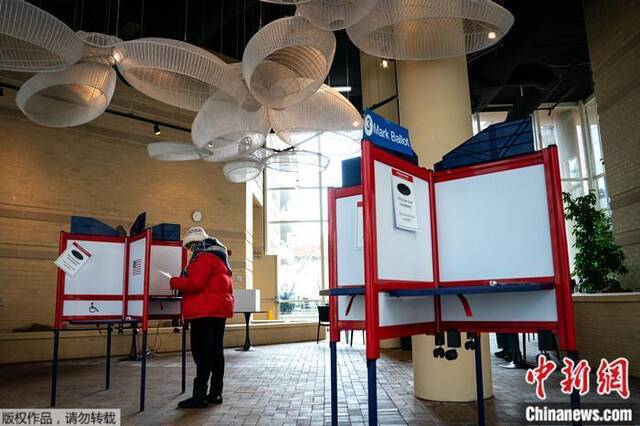 资料图：当地时间3月5日，选民在美国弗吉尼亚州的一处投票点投票。