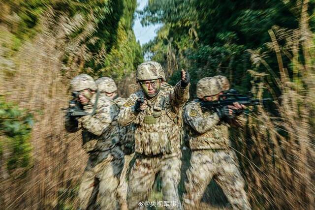 武警林地战术训练硬核大图来啦！