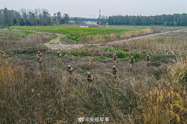 武警林地战术训练硬核大图来啦！