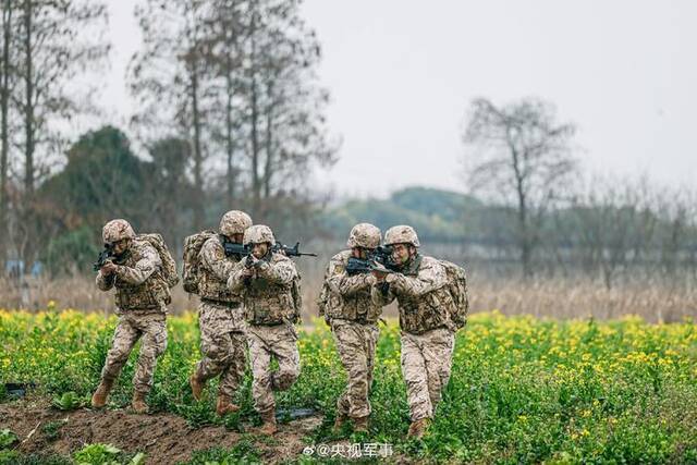 武警林地战术训练硬核大图来啦！