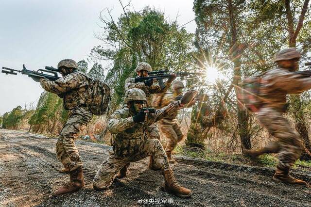 武警林地战术训练硬核大图来啦！