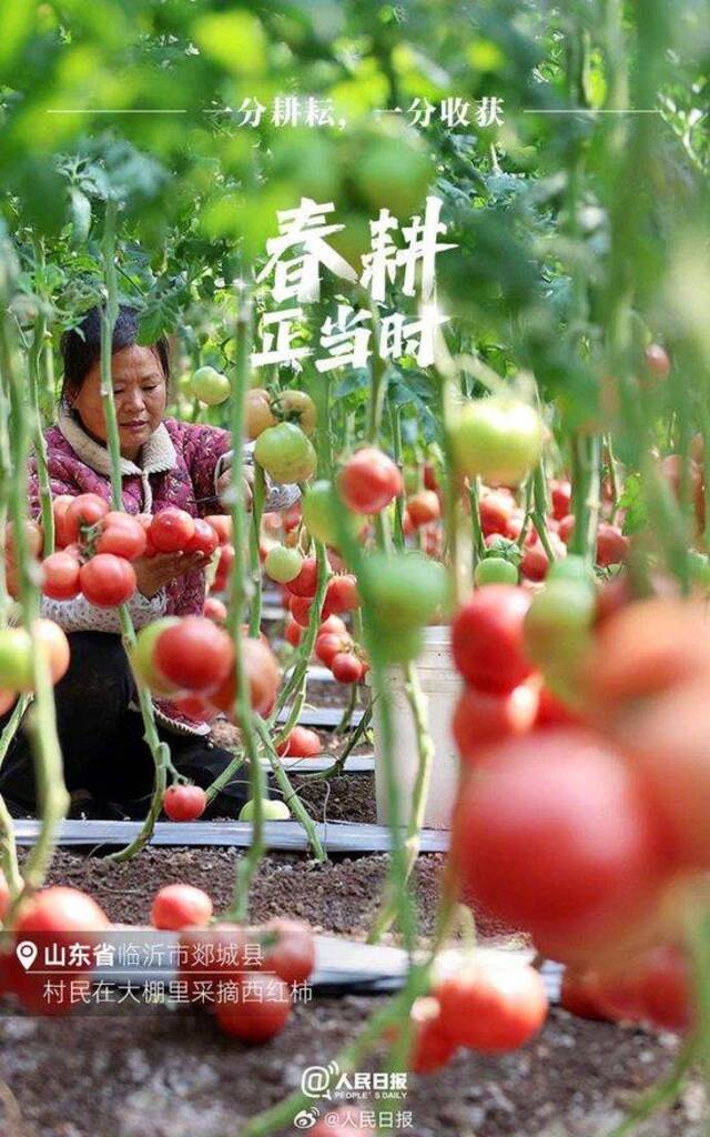 不负春光！各地陆续进入春耕时节