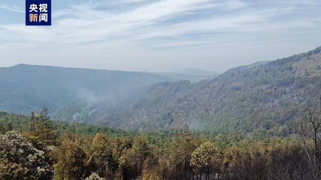 云南新平发生山火 目前火势已得到有效控制