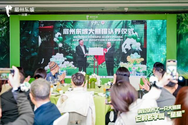 眉州东坡举办第八届有机川熊猫竹笋节，终生认养了重庆动物园的大熊猫“星星”。受访者供图