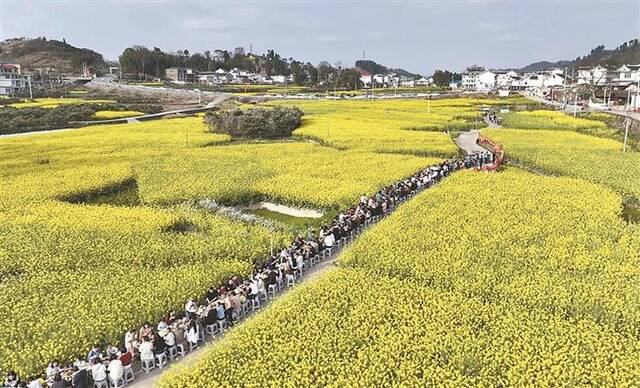 画里有话 | 春风吹暖“赏花经济”