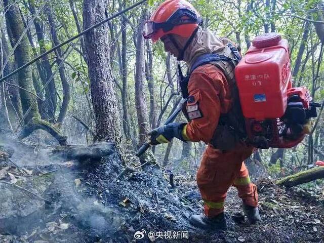 云南大理森林火灾已全部扑灭 无人员伤亡