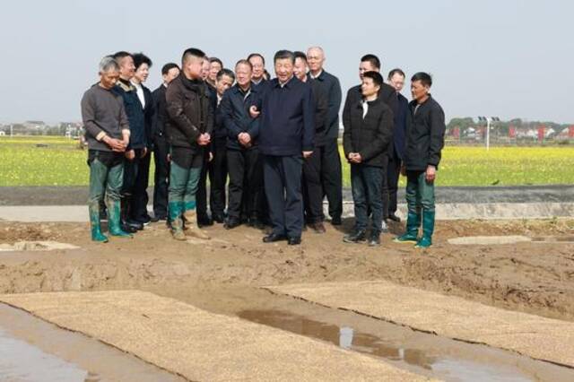 △2024年3月19日，习近平总书记来到湖南省常德市鼎城区谢家铺镇粮食生产万亩综合示范片区考察。