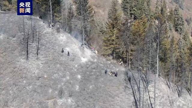 甘肃夏河山火明火已扑灭 现场已无烟点