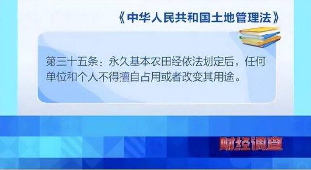 央视曝光！耗资超800万元建高标准农田，两年后改建光伏电站！当地稻谷亩产大跌