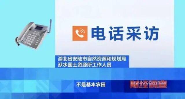 央视曝光！耗资超800万元建高标准农田，两年后改建光伏电站！当地稻谷亩产大跌