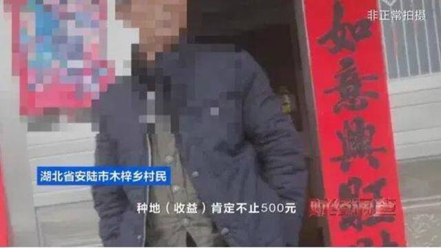 央视曝光！耗资超800万元建高标准农田，两年后改建光伏电站！当地稻谷亩产大跌