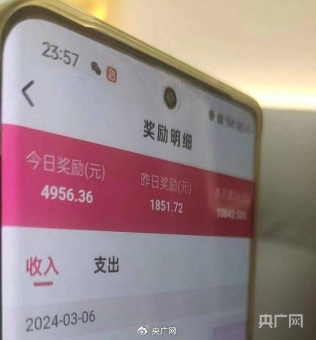 一名代理分享的“聊天员”收入明细（央广网发）