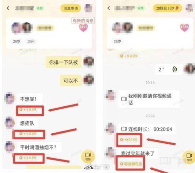 “聊天员”界面显示每条回复获得的收入（央广网发）