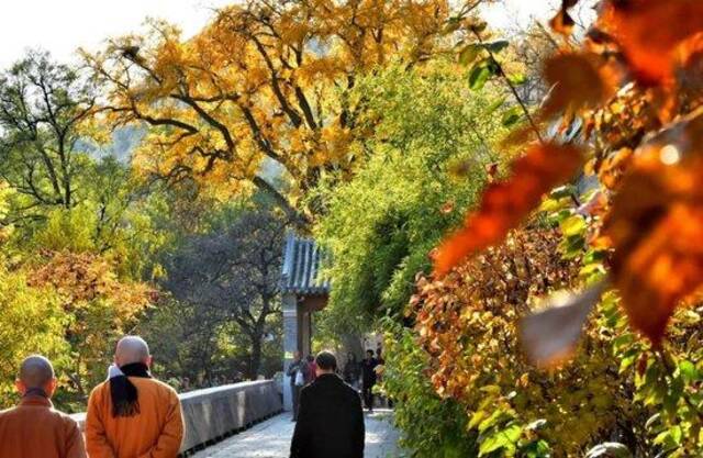 柳智宇出家十年的所在地，北京龙泉寺。（视觉中国/图）