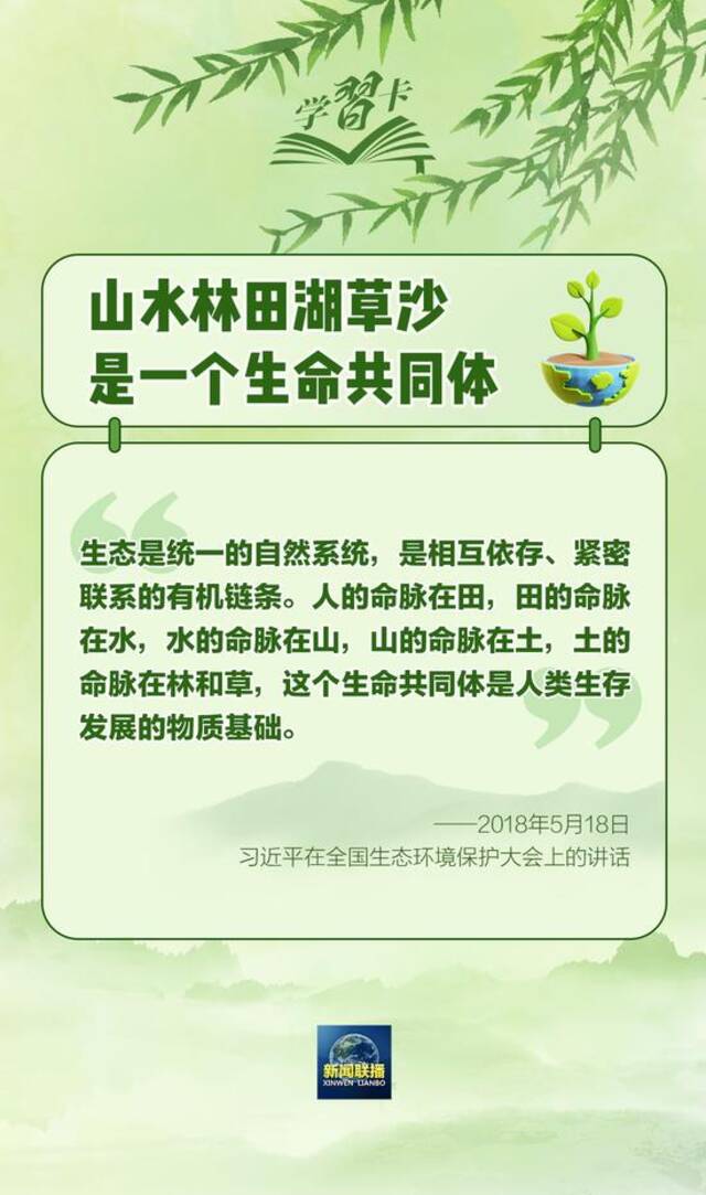 学习卡丨“从种树开始，种出属于大家的绿水青山和金山银山”