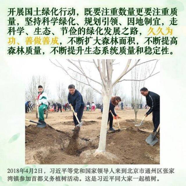 镜观·领航｜这些照片，记录着总书记的植绿坚守