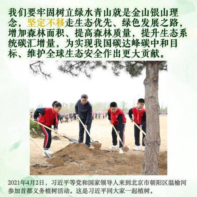 镜观·领航｜这些照片，记录着总书记的植绿坚守