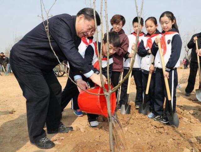 镜观·领航｜这些照片，记录着总书记的植绿坚守