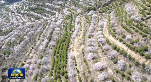 春暖花开正娇艳 赏花踏青胜地等你来打卡