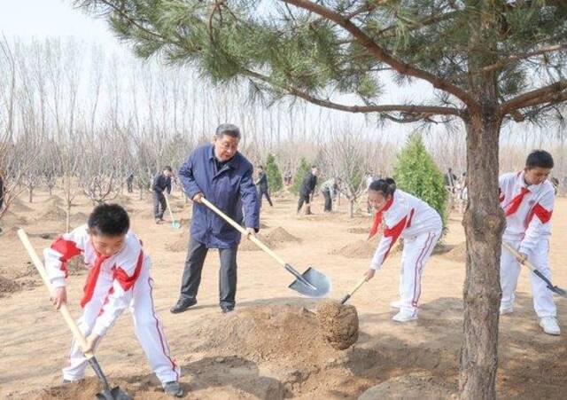 总书记刚刚来过这里｜增绿就是增优势，植树就是植未来