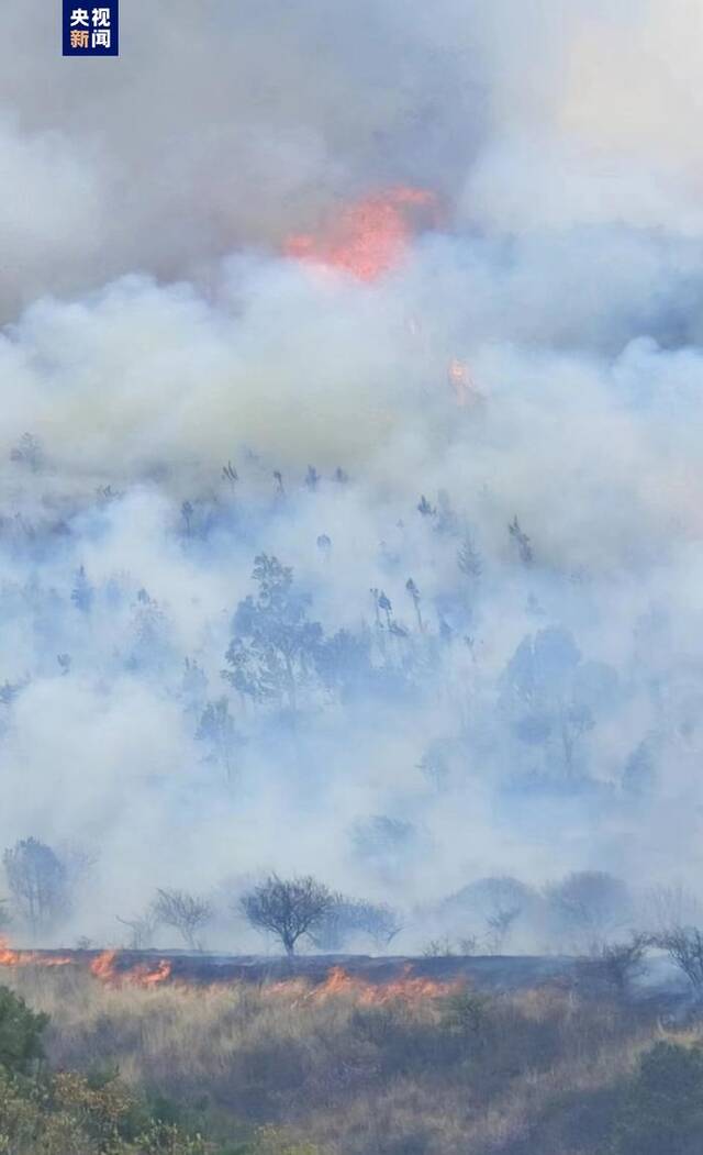 云南洱源突发山火 当地正全力扑救