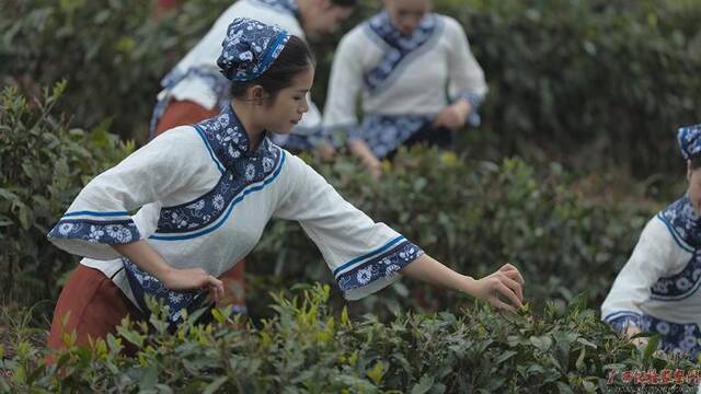 镜头丨春和景明 缅怀追思