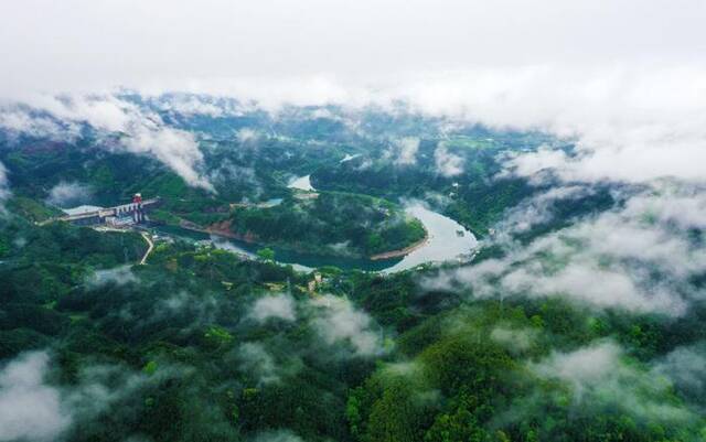 镜头丨春和景明 缅怀追思