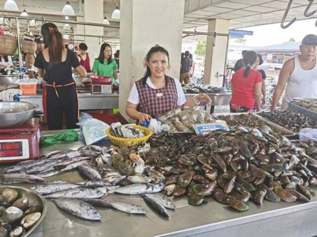 实地调查菲律宾“武装渔民”计划