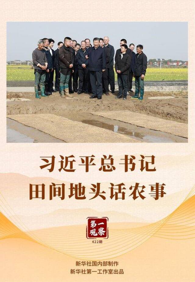 第一观察 