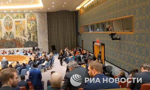 据俄新社19日报道，当以色列常驻联合国代表埃尔丹在安理会会议上发言时，会议大厅内多名外交官起身离场。此图为俄新社报道所配视频中的画面。