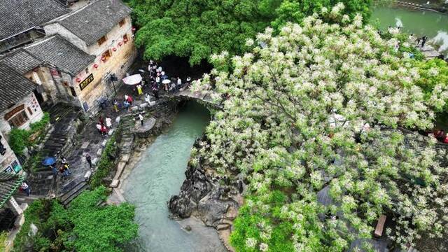 央媒：众口难“调”，如何“休”好？