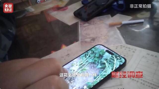 用“量子科技”种庄稼，抗病抗灾还增产？记者探访