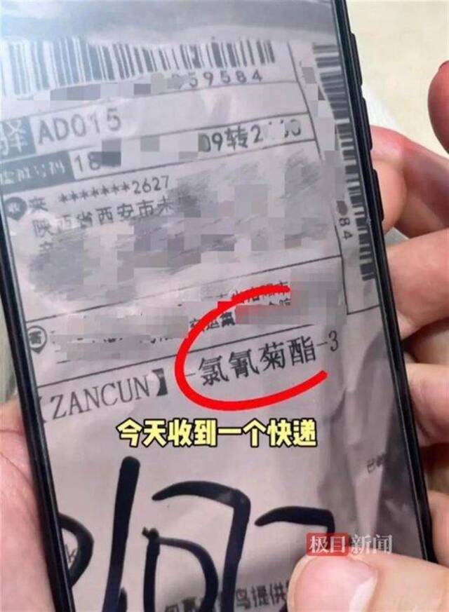 快递面单（视频截图）