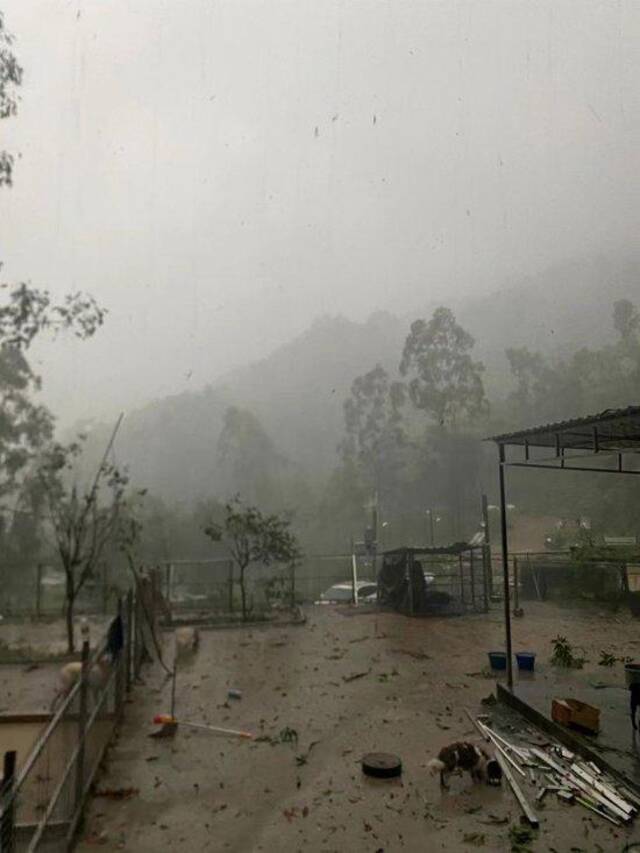 广州龙卷风亲历者：屋外飞沙走石，树枝、杂物被卷到空中不停旋转