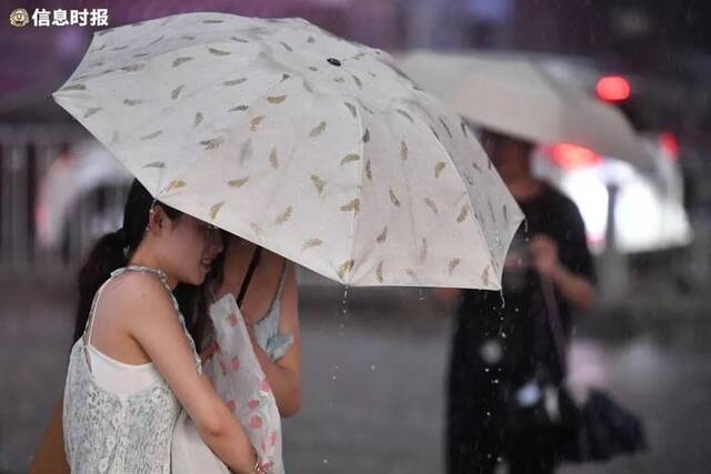 4月27日傍晚，海珠区宝岗大道，两名女生撑伞挡雨。信息时报记者胡瀛斌摄
