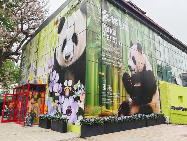 萌翻了！熊猫星球沉浸式光影大展五一在京开幕