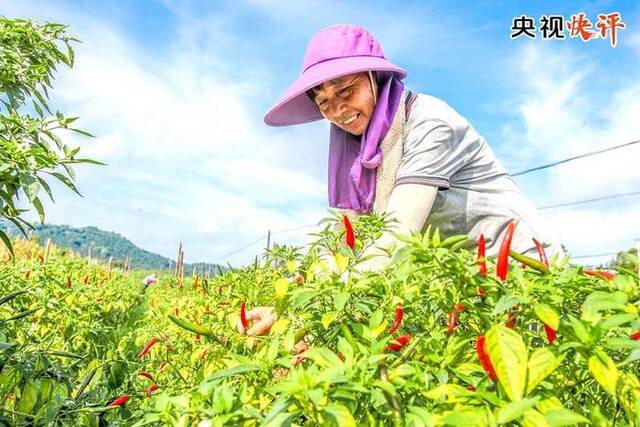 【央视快评】劳动谱写时代华章 奋斗创造美好未来——庆祝“五一”国际劳动节