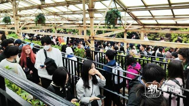 日本环球影城排队的游客。潮新闻见习记者吴馥梅摄